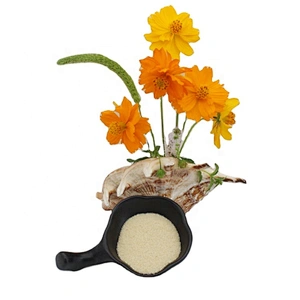 Additive for Mousse Cake China Origin Food Grade Gelatin